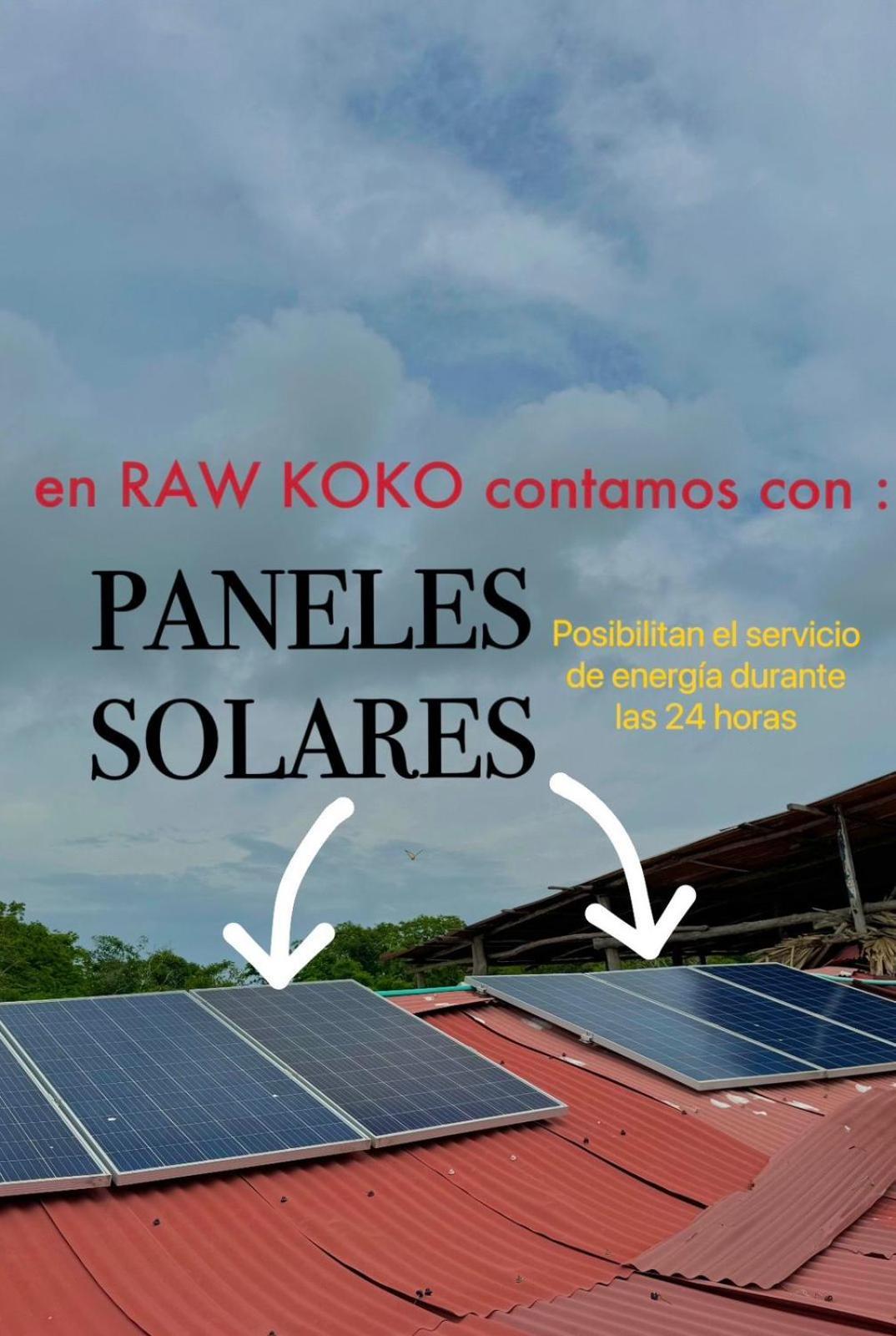 Raw Kokomar Posadanativa Pendales المظهر الخارجي الصورة