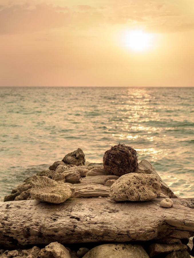 Raw Kokomar Posadanativa Pendales المظهر الخارجي الصورة